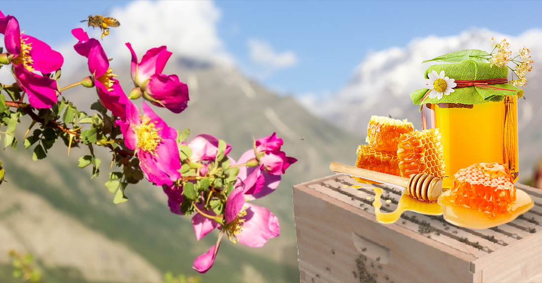 The Himalayan Honey: A Sweet Gift from the Mountains